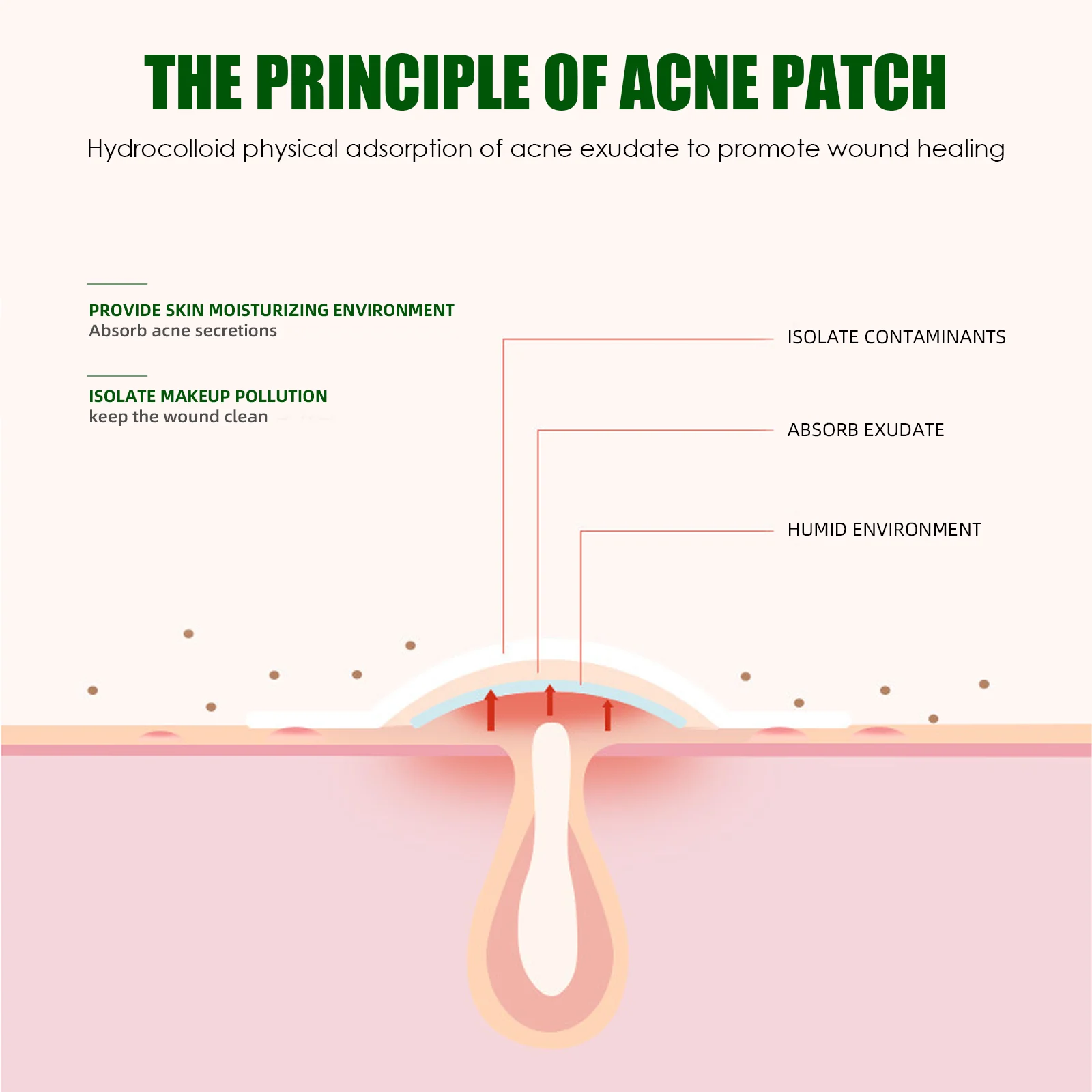 Acne Pimple Patches (24pcs) Hydrocolloid Invisible Spot Treatment for Fast Healing & Concealing 5 acne pimple patches 24pcs hydrocolloid invisible spot treatment wes 8kyshys8 desc 5